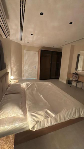 Al-Olaya luxury apartment
